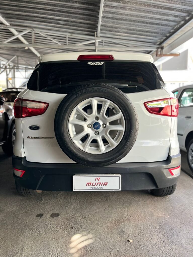 WhatsApp Image 2026-02-13 at 16.15.02 (1)