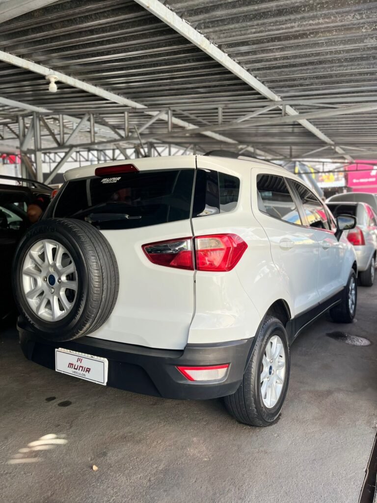 WhatsApp Image 2026-02-13 at 16.15.03